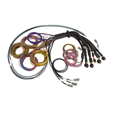 Haltech NEXUS VCU Universal Harnesses