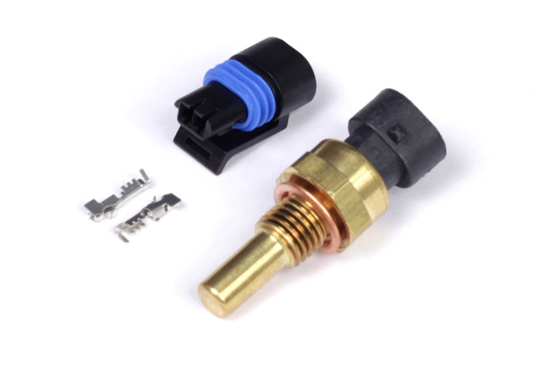 Haltech Coolant Temp Sensor - Small Thread M12 x 1.5 HT-010300 - Haltech ECU