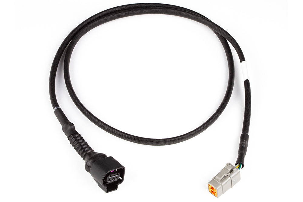 Haltech LSU4.9 Wideband adaptor harness - LSU4.9 to DTM6 HT-010726 - Haltech ECU