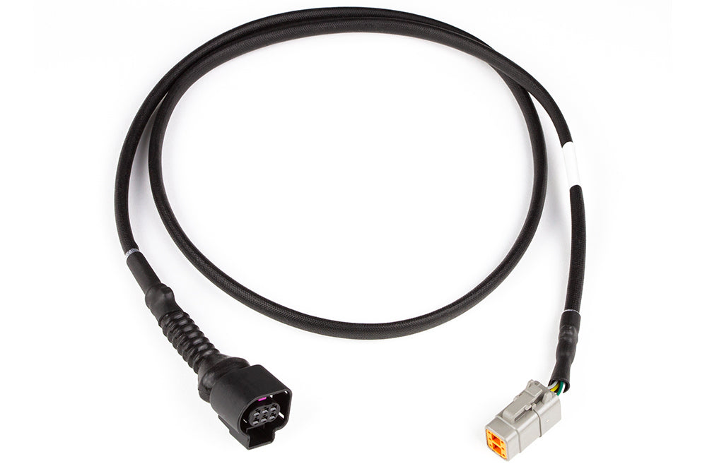 Haltech LSU4.9 Wideband adaptor harness - LSU4.9 to DTM6 HT-010726