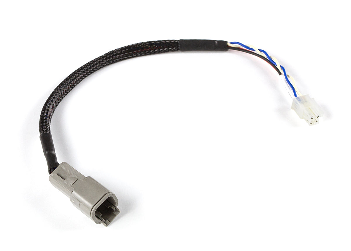 Haltech CAN Adaptor Loom (DTM-4 to Minifit Jr) - Suits Microtech HT-130049 - Haltech ECU