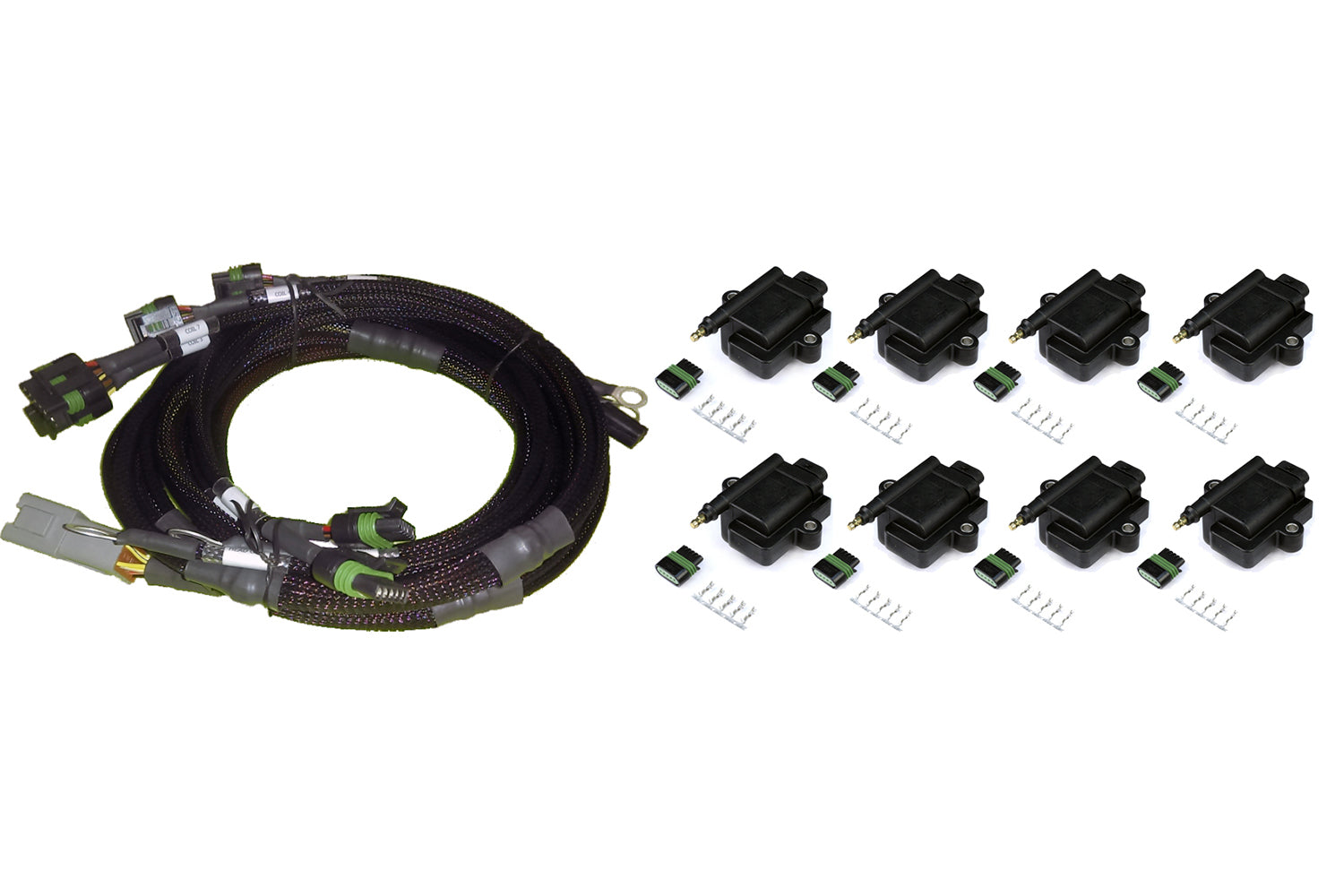 Haltech 8 channel Hi Output Ignition Coil & Harness Kit Ford HT-130313
