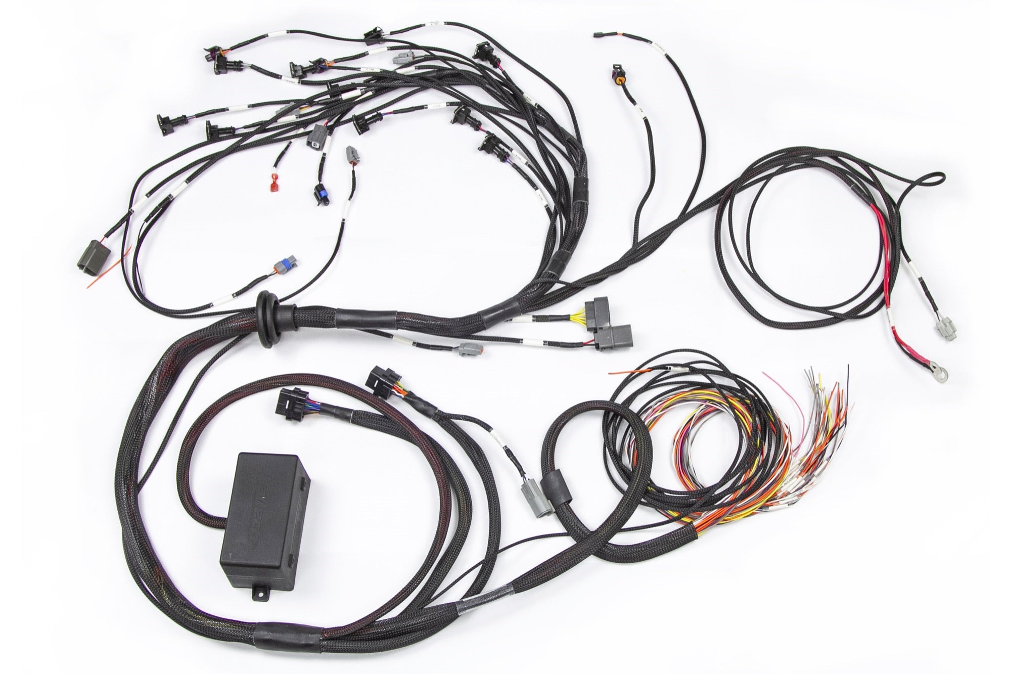 Haltech E2000/2500 RB Terminated Engine Harness Only HT-130326 - Haltech ECU
