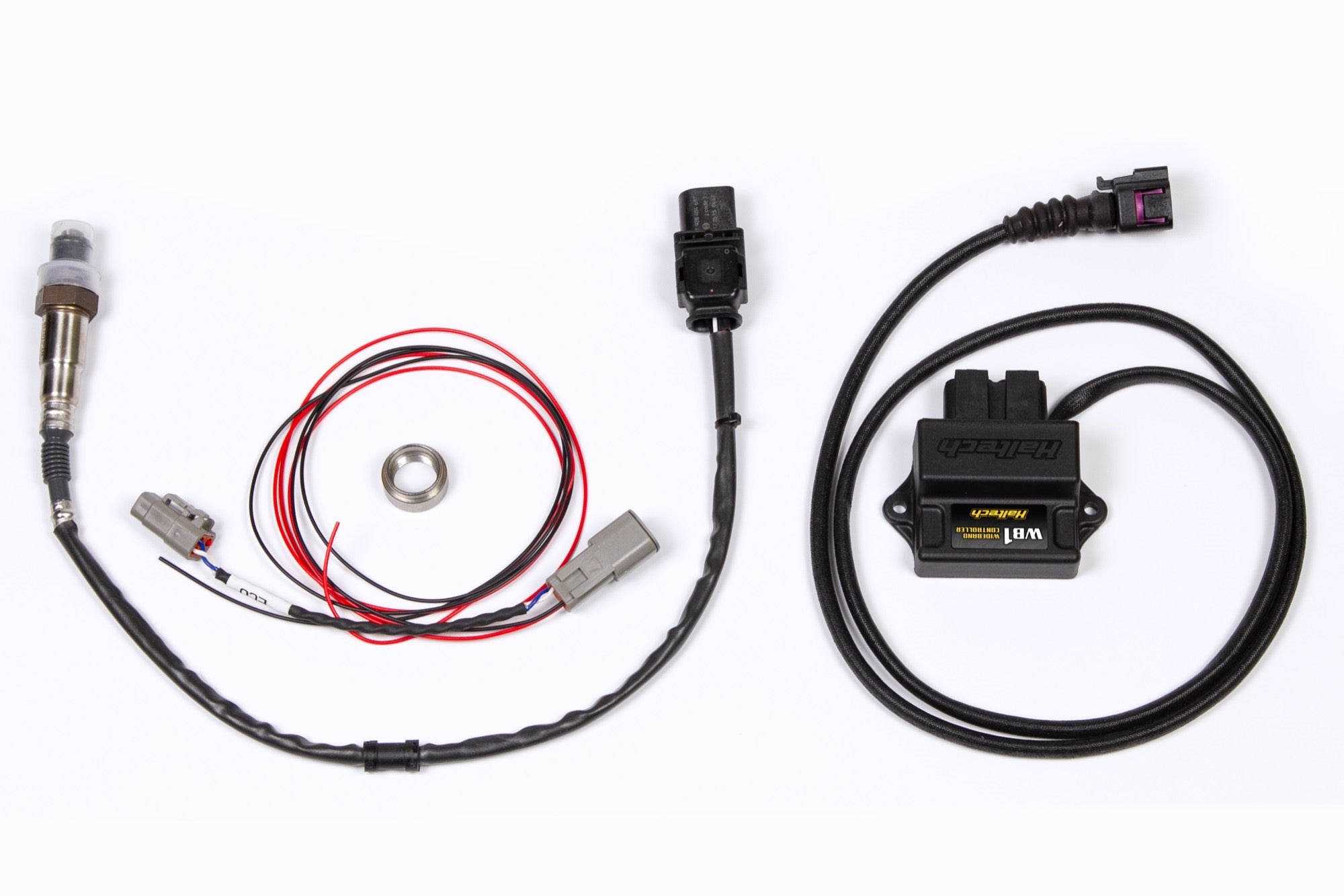 Haltech WB1 - Single Channel CAN O2 Wideband Controller Kit HT-159976 - Haltech ECU