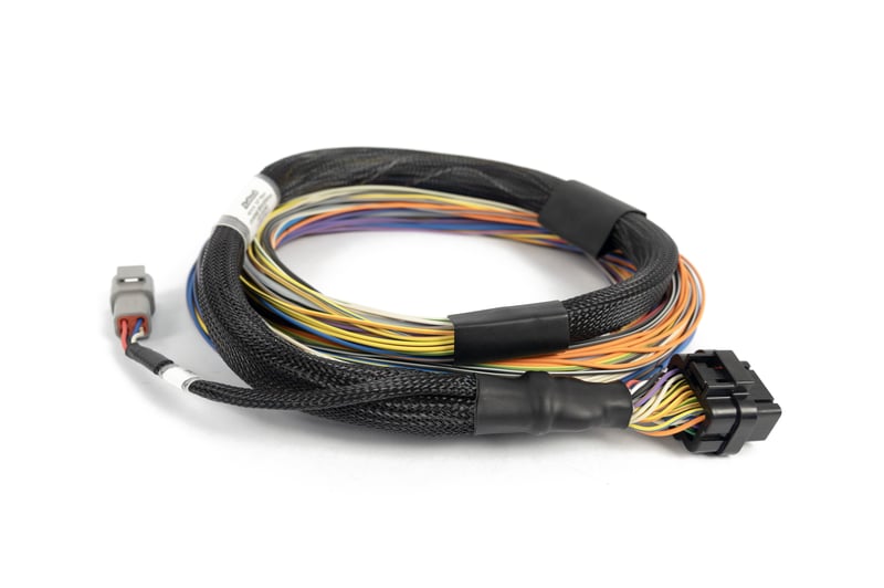 Haltech Nexus T2 / T1 Basic Universal Wire-in Harness - HT-181200