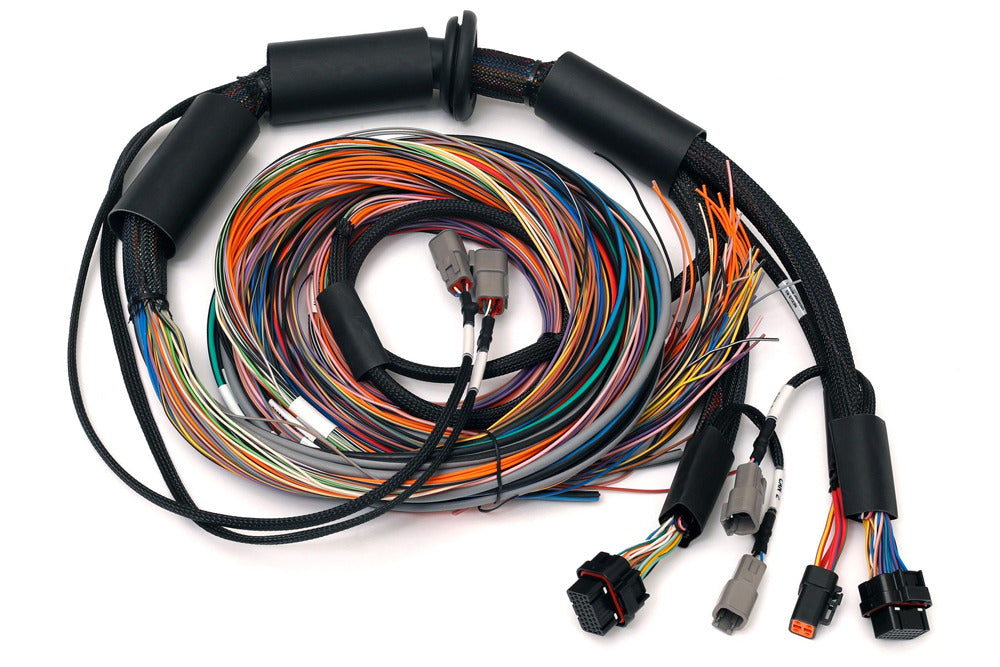 Haltech Nexus R3 Universal Wire-in Harness - 2.5m (8') - HT-183200 - Haltech ECU
