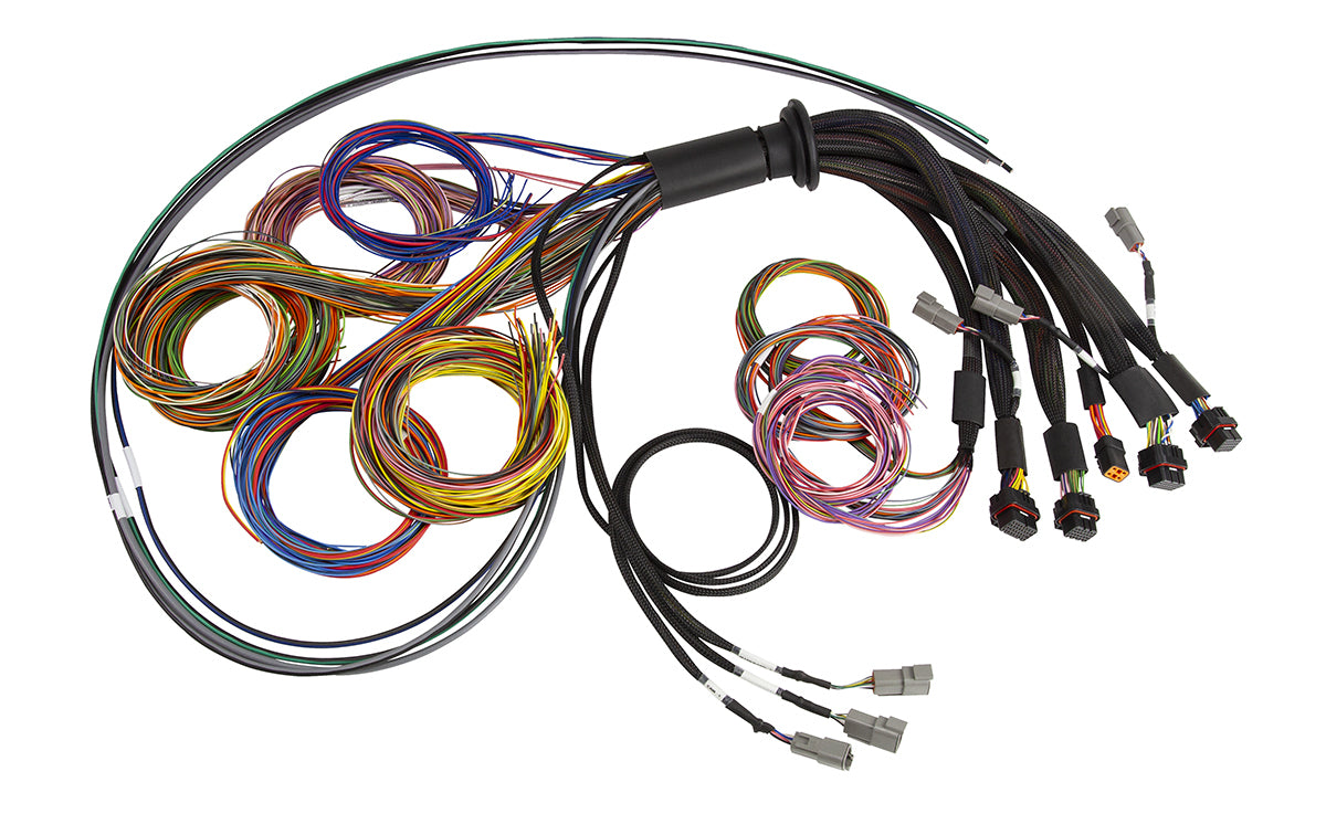 Haltech Nexus R5 Basic Universal Wire-In harness - 2.5M (8') HT-185200