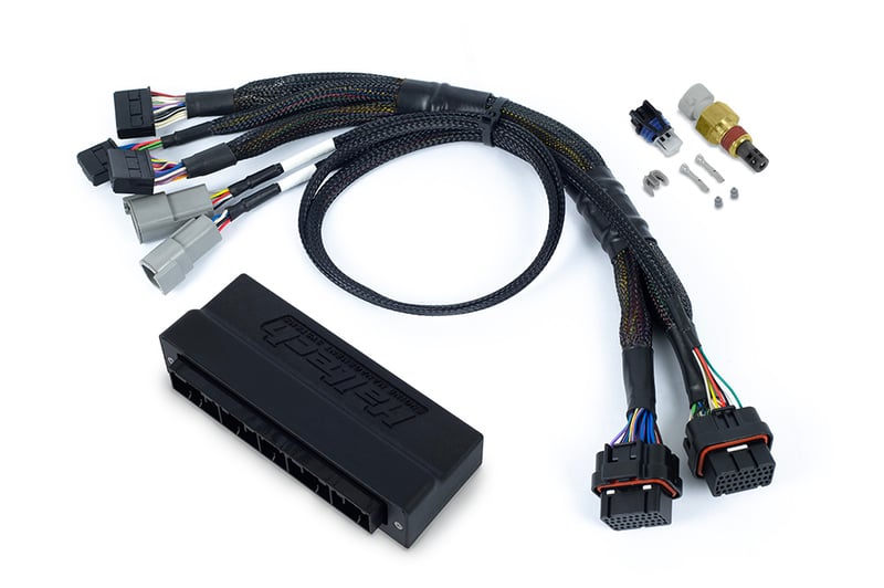 Haltech Nexus S3 Plug 'n' Play Adapter Harness - Subaru WRX 01-05 - HT-186366 - Haltech ECU