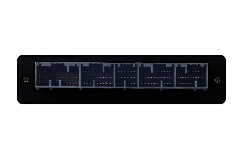 Haltech Nexus S3 Plug 'n' Play Adapter Harness - Subaru WRX 01-05 - HT-186366 - Haltech ECU