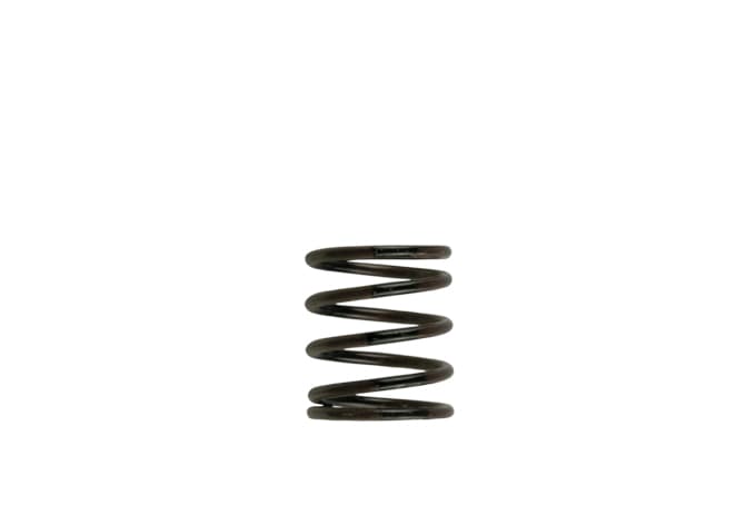 Turbosmart Gen4 / IWG WG38/40/45/50L 3PSI INNER SPRING - BROWN/BLACK - TS-0505-2001 - Turbosmart Turbosmart Products