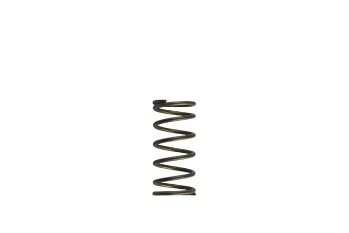 Turbosmart GenV WG60 5psi Purple Inner Spring - TS-0550-3090 - Turbosmart Turbosmart Products