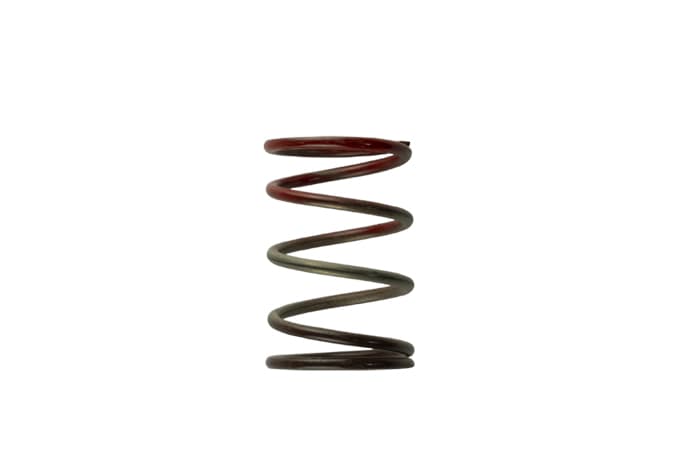 Turbosmart Gen4 / IWG WG38/40/45/50L 11PSI MIDDLE SPRING - BROWN/RED - TS-0505-2004 - Turbosmart Turbosmart Products