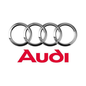GSC Audi Valve Guides