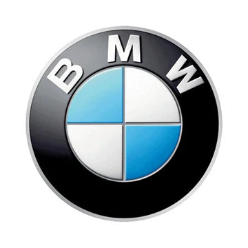 GSC BMW Exhaust Valves
