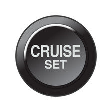 CAN Keypad Insert - Cruise Set - 101-0260
