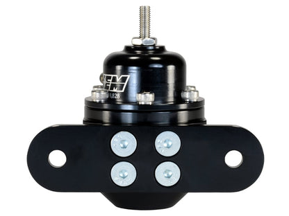 AEM Adjustable Fuel Pressure Regulator - 25-302BK