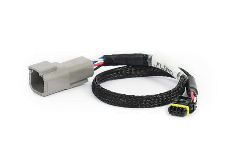 Haltech CAN Adaptor Loom DTM-4 to Molex Mizu-P25 - Suits Holley, ECU - HT-130053