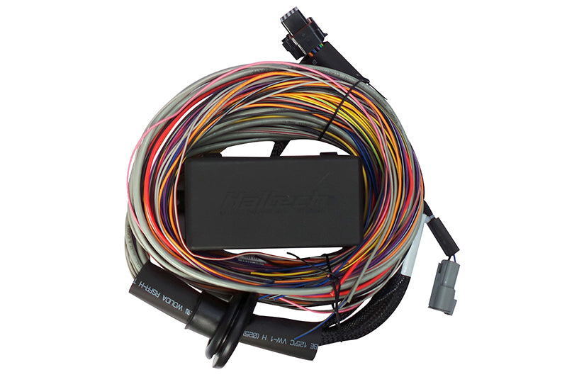 Haltech Elite 750 Premium Universal Wire-in Harness 2.5m (8') HT-140604