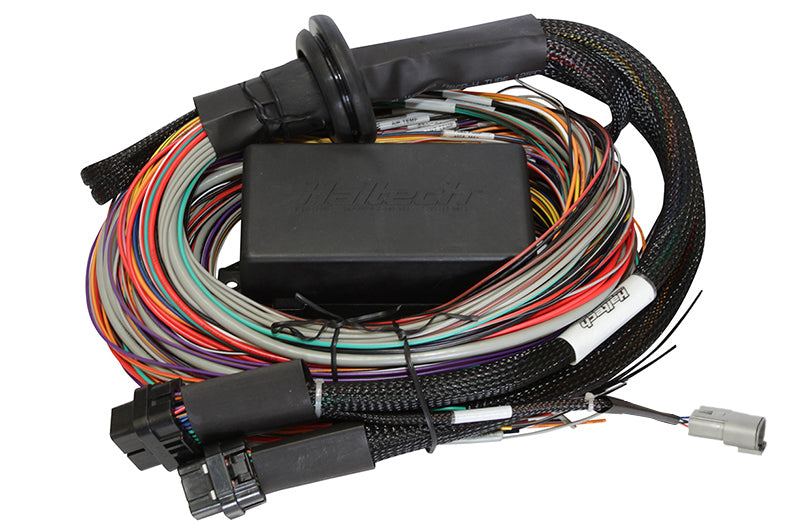 Haltech Elite 2500 - 2.5m (8 ft) Premium Uni Wire-in Harness HT-141304