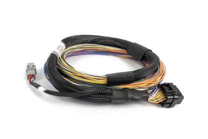 Haltech Nexus T2 / T1 Basic Universal Wire-in Harness - HT-181200