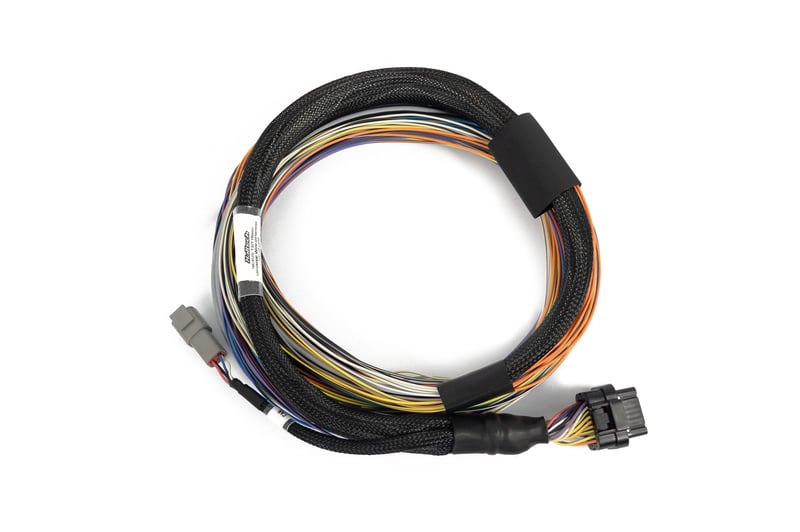 Haltech Nexus T2 / T1 Basic Universal Wire-in Harness - HT-181200