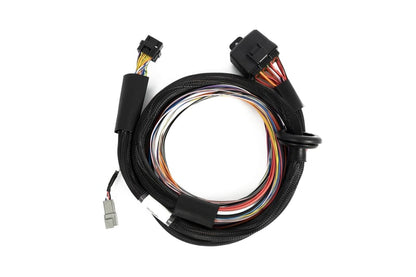 Haltech Nexus T2 / T1 Premium Universal Wire-in Harness - 2.5m (8') - HT-181201