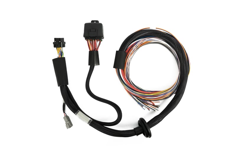 Haltech Nexus T2 / T1 Premium Universal Wire-in Harness - 2.5m (8') - HT-181201