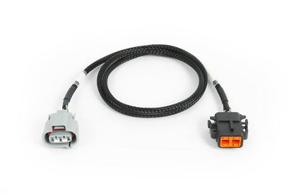 Haltech Nexus Rebel JZ - R154 Transmission Harness, engine harness - HT-187005