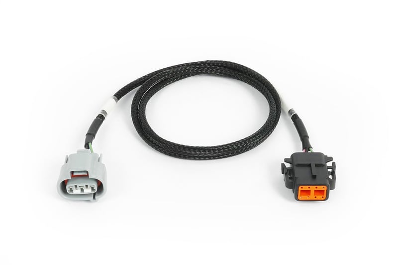 Haltech Nexus Rebel JZ - R154 Transmission Harness, engine harness - HT-187005